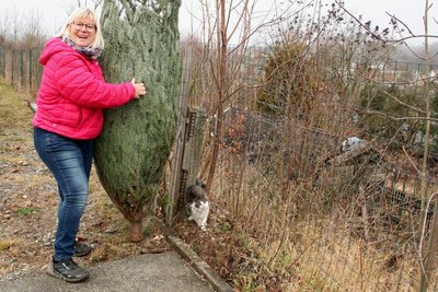 Corinna Lange war mit Kater Udo zum Weihnachtsbaumkauf gekommen.