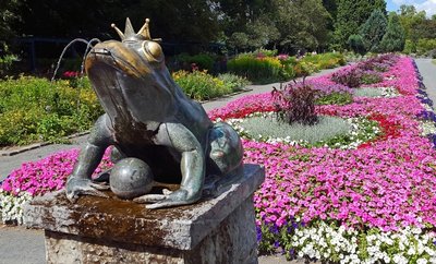 Er thront im Botanischen Garten Hof auf dem Rand eines Brunnens und ist zurzeit umgeben von üppigen Blüten. 