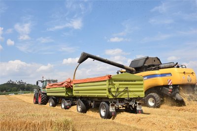 Sommergerste wird auf einem 9,5 Hektar großem Schlag des Landwirtschaftsbetriebes von Janet Lohse in Marbach bei Augustusburg vom Feld geholt.