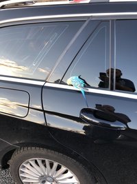 Das Vögelchen setzte sich einfach auf das Fahrzeug und blieb dort. 