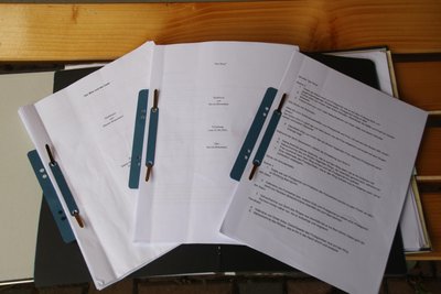 Drehbücher und Regieanweisungen für die Filme von Steven Braumann.
