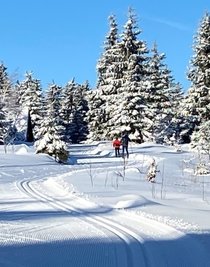 Sonne und Schnee: Traumwetter am Wochenende auf der Kammloipe. 