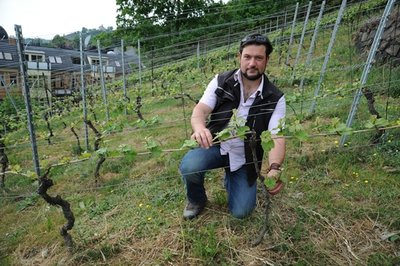 Winzer Andreas Kretschko