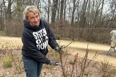 Gärtnerin Birgit Roßbach schneidet im Frühjahr die Rosen im Otto-Werner-Garten.