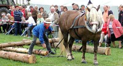 
              <p class="artikelinhalt">Uwe Thoss aus Wildenau hat den Holzrückewettbewerb in Werda organisiert. </p>
            