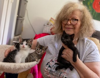 Vereinsmitglied Sigrid Wenzel päppelt vier Katzenbabys auf, die in wenigen Tagen vom Tierheim Unterheinsdorf aufgenommen, versorgt und finanziert werden. 