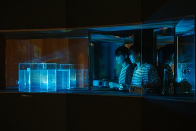 Bei den "Begehungen" gibt es fast keine Kunstrichtung, die es nicht gibt. Auf dem Foto ist ein Teil einer Installation zu sehen, mit der mehrere Künstlerinnen, darunter die in Dresden studierende Südkoreanerin Halyn Shin, über Herkunft reflektieren.