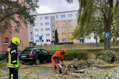 21. Oktober: Sturmtief Ignatz hinterlässt Spuren. Zahlreiche umgefallene Bäume müssen beseitigt werden.