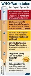 Voraussetzung für Feststellung der Pandemie-Phase 6 ist, dass das Virus in mindestens ein Land einer zweiten Region gewandert ist und zudem regelmäßig von Mensch zu Mensch übertragen wird. In der Pandemie-Phase 6 würden die Notfallpläne für die Gesundheitssysteme auf allen Ebenen in Kraft treten.