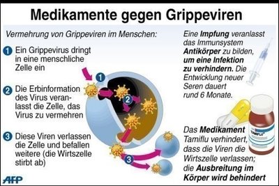 Menschen, die Symptome der Schweinegrippe zeigen und als Verdachtsfall gelten, werden bis zum Ausschluss einer Schweineinfluenza mit herkömmlichen antiviralen Medikamenten behandelt. Die Therapie muss binnen 48 Stunden nach den ersten Symptomen beginnen.