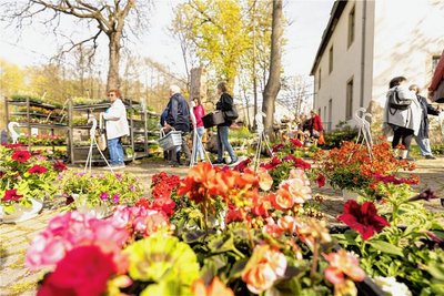 27 Händler boten im Natur- und Umweltzentrum Oberlauterbach eine große Auswahl an Blumen, Stauden, Gehölzen und Dekorationen. 