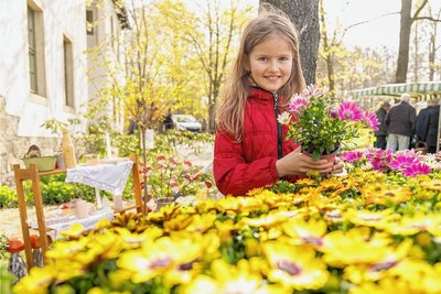 Die neunjährige Paula Krauß freute sich über die farbige Vielfalt der Frühjahrsblüher. Ihre Eltern kaufen schon seit vielen Jahren Blumen, Gemüse und Obst direkt vom Gärtner. 