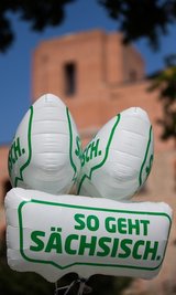 Das Logo der Sachsen-Kampagne. Sie wurde im Sommer vorigen Jahres gestartet und läuft bis 2016.