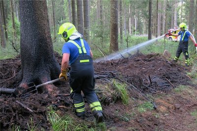 Kameraden der Feuerwehr löschten am Mittwoch einen Waldbrand in Carlsfeld. 