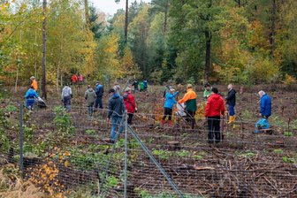 300 Helfer unterstützen Pflanzaktion -
