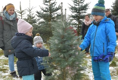 Auf der Plantage Weihnachtbaum-Kulturen Liebschner in Dittmannsdorf suchten sich am Samstag Ulrike Mosch mit Clara und Pepe einen Baum aus.
