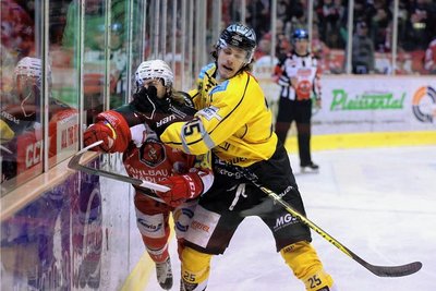 Für Eispiraten-Stürmer Mathieu Lemay gibt es hier kein Durchkommen gegen Tigers-Verteidiger Dennis Dietmann. Nach der Niederlage am Sonntag prüft das Eispiraten-Trainerteam die taktischen und personellen Optionen. Muss Mathieu Lemay auf die Tribüne? 
