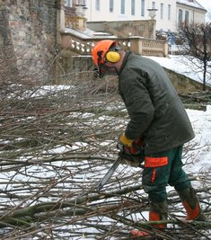 
              <p class="artikelinhalt">Im Park Lichtenwalde wurden am Montag 75 Kastanien gefällt. Bis Mitte Mai 2009 werden wieder 75 neue gepflanzt. Die jetzigen Aufräumarbeiten werden etwa eine Woche dauern.</p>
            