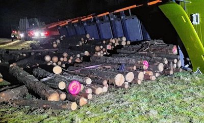 Das Holz, welches der Lkw geladen hatte, verteilte sich auf einer Wiese.. 