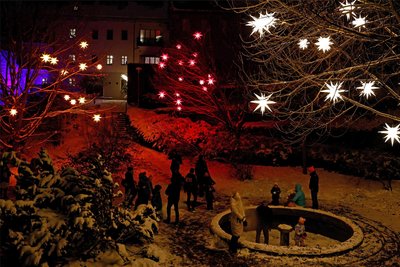 Im Hohenstein-Ernstthaler Stadtgarten leuchten derzeit viele Sterne.