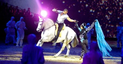 Höhepunkt des Reitwochenendes in der Chemnitz-Arena dürfte die Nacht der Pferde werden. / Nacht der Pferde