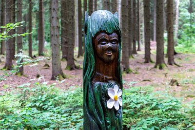 Details sind es, die den Waldgeisterweg im Greifensteinwald spannend machen. Hier hat eine Waldelfe ein ruhiges Plätzchen gefunden.