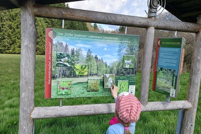 Bewegliche Details sorgen auf den Schautafeln am Naturlehrpfad „Am Sauwald“ für Abwechslung bei Kindern.