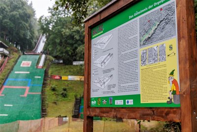 Der Basalt-Pfad am Scheibenberg lüftet das Geheimnis der „Orgelpfeifen“, so werden dessen Basaltsäulen genannt.