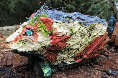 Zu jedem Tierchen, das Barbara Wittig zum Leben erweckt hat, gibt es meist auch eine kleine Beschreibung.