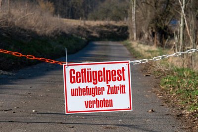 Die Zufahrt zu dem betroffenen Landwirtschaftsbetrieb im Jahnataler Ortsteil Schrebitz ist am Mittwoch gesperrt worden. Der gesamte Bestand mit über 2500 Tieren muss gekeult werden.