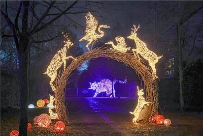 Fabelwesen und Tiere entstanden bei der Lumagica aus fast 400.000 LEDs. 