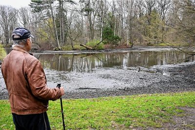Nachdem das Wasser im Großen Teich des Stadtparks abgelassen wurde, fließt es mittlerweile wieder zu. 