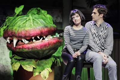 Das Kultmusical „Der kleine Horrorladen“ ist am 31. August im Vogtlandtheater zu sehen.