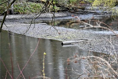 Erst im Winter vergangenen Jahres war das Wasser im Großen Teich abgelassen wurden. 