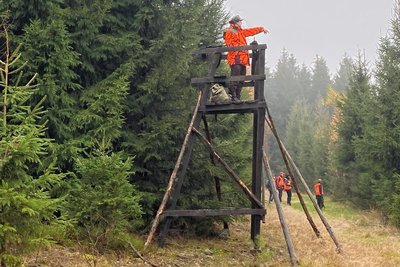 Ein Jäger auf einem Drückjagdansitz. Diese sind transportabel und werden danach umgesetzt. 