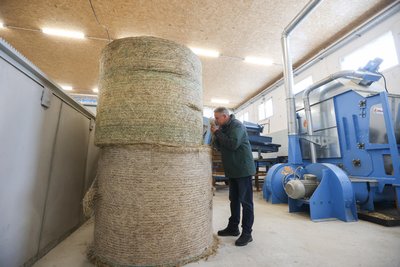 Nicht nur Kräuter, sondern auch getrocknetes Gras verwendet Sirko Hornung für die Herstellung der Pellets.