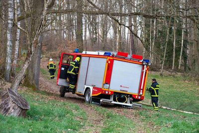 Die Feuerwehren aus Waldheim und Reinsdorf rückten mit zwei Fahrzeugen und rund 15 Einsatzkräften aus.