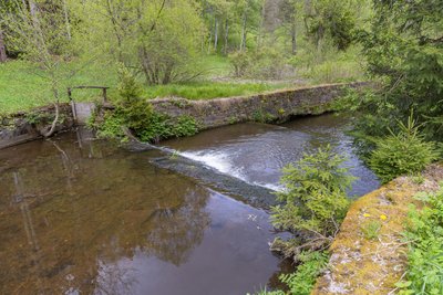 Über das Wehr wurde früher Wasser in einem Graben zu einer Wasserkraftanlage geleitet.