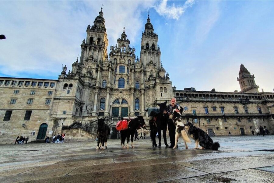 3100 Kilometer mit zwei Hunden und drei Maultieren unterwegs - Johanna Lungwitz (24) mit ihren Maultieren Totoro, Sam, Merlin und den Hunden Hotaru und Taemin (v.l.n.r.) vor der Kathedrale in Santiago de Compostela. 
