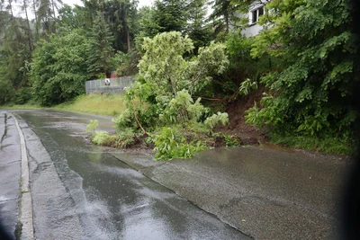 Durch den Regen geriet an der Alberodaer Straße in Aue ein Hang ins Rutschen und riss einige Bäume mit.