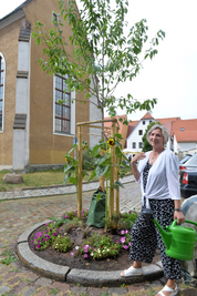 Anwohnerin Elke Jobst gießt am Petriplatz.