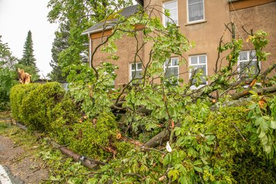 Zwischen Oberdorf und Beutha verfehlte ein umgestürzter Baum knapp ein Wohnhaus.