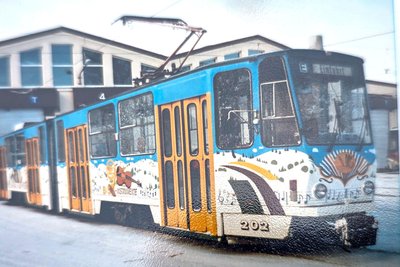 So sah die erste tschechische Bahn vom Typ KT4D aus, bis sie 1995 für den Linienverkehr ausgemustert wurde.
