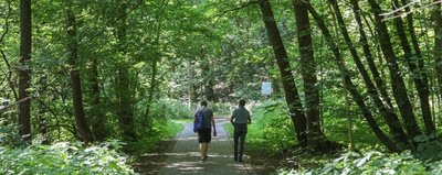 Angenehm kühles Dickicht: Im südlichen Stadtpark liegt die Temperatur um einige Grad niedriger. 
