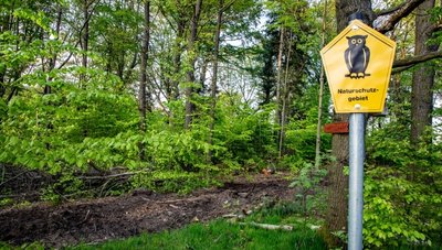 In Lichtenwalde liegen drei Schutzgebiete, die sich teils überlagern. Baumfällarbeiten im März und April lösten Protest aus.