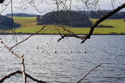 Idylle an der Talsperre Pirk. Wer sich ins noch recht kühle Gewässer traut, erlebt pure Natur.