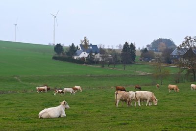 Blick über Eulendorf zu den vorhandenen Windrädern, die abgebaut werden sollen.