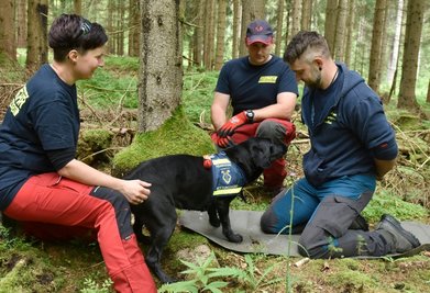 Rettungsübung in Sachsengrund: Die Klingenthaler Hundeführer Christin Strahl-Thoß und ihr Mann Clemens (Mitte) mit dem Labrador-Retriever Fee in Feuerwehruniform und dem gefundenen "Vermissten" Stefan Vinzl. 