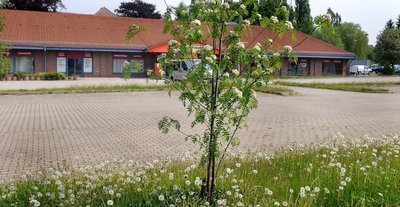 Supermarkt