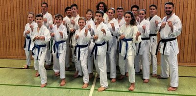 Freude auf den Bundestrainer: Seit 30 Jahren sind die Kämpfer des Karate-Do Rochlitz mit Vereinschef Ralf Ziezio (h. l.) - teils sogar auf internationaler Bühne - erfolgreich. Diesen Samstag kommt Olympionike Noah Bitsch nach Rochlitz. 